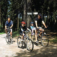 Radwandern auf dem Kohlberg.
